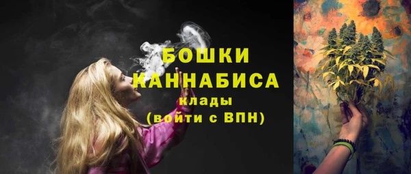 прущие грибы Красноперекопск
