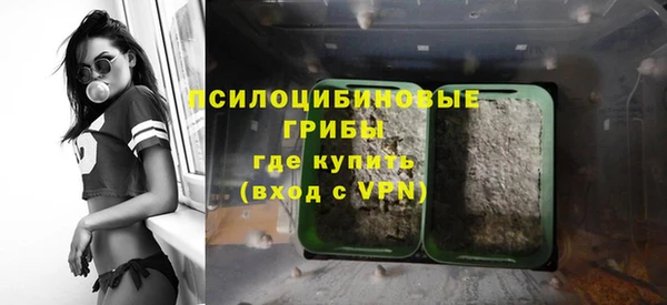 молекула духа Коряжма
