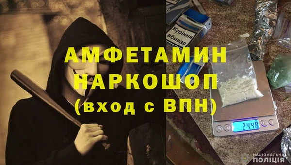 прущие грибы Красноперекопск