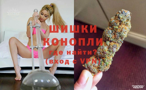 молекула духа Коряжма
