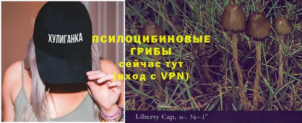 МДМА Корсаков
