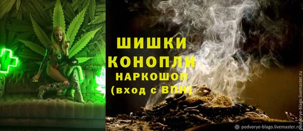 ПСИЛОЦИБИНОВЫЕ ГРИБЫ Краснотурьинск