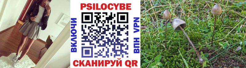 купить закладку Бирюсинск Галлюциногенные грибы Cubensis